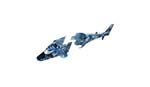 FCE2027 FCE 2027 - Kabinenhaube MH-35 MH- 35 blau