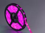 FW-LEDEPO-PI - LED Leuchtband Epoxid - pink