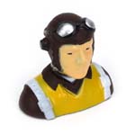 PKZ5309 PKZ 5309 - Parkzone Pilot: P-47 P- 47