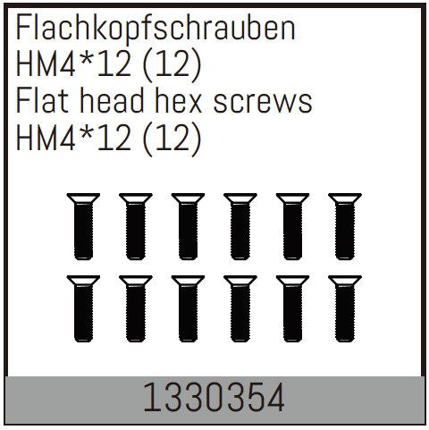 AB-1330354 - Flachkopfschrauben mit Feingewinde HM412_12 Stueck Absima AB-1330354 AB-1330354 - Flachkopfschrauben mit Feingewinde HM412_12 Stueck Absima AB-1330354