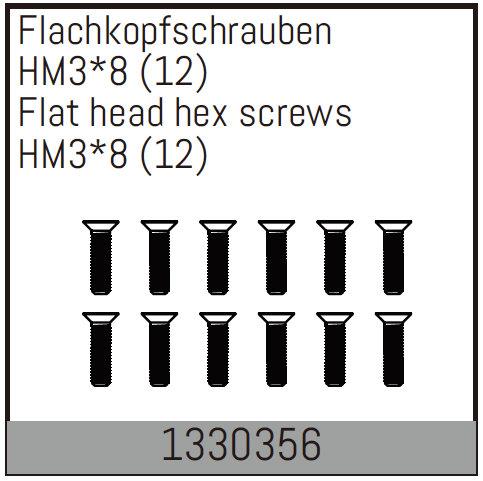 AB-1330356 - HM38mm Flachkopfschrauben 12 Stueck Absima AB-1330356 AB-1330356 - HM38mm Flachkopfschrauben 12 Stueck Absima AB-1330356