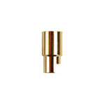 LPAA800249 - Li-Polar Goldkontakt 5.5mm Buchse