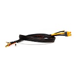 SPMXCA316 - Neuer Adapter: IC3 Akku _ 5mm Bullet mit 2 Draehten. Smart 2S