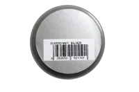 AB-3500033 - Polycarbonat Spray PAINTZ MET. SILBER 150ml