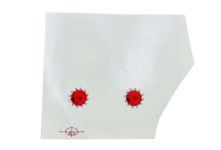 AW470LPJ009 - 470L Airwolf decals