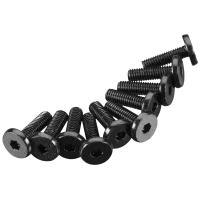 AXIC1009 - Hex Socket Oversize Head 3x10mm (10)