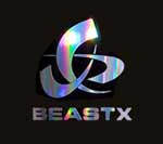 BXA-ST001 - Hologrammaufkleber BEASTX (2 Stk)