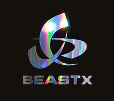 BXA-ST001 - Hologrammaufkleber BEASTX (2 Stk) BXA-ST001