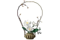 C59026W - CaDA Blumen Serie - Winterblumen (1001 Teile)