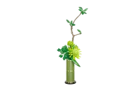 C59035W - CaDA Blumenserie&8211; Chrysantheme