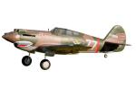 DPFMS081P - FMS P-40B Curtiss Warhawk Flying Tiger PNP - 140 cm