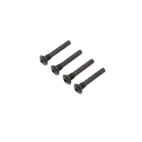 LOS254052 - Hinge Pin Screw. Outer (4): Super Baja Rey