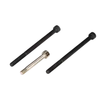 LOSB6481 - Rear Toe Block & Brace Screws: 5TT