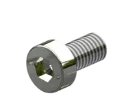 SHRP900024 - Schraube DIN 6912 M5x10 (2 Stueck)