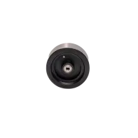 SPMXMXA2 - Promoto-Mx Flywheel Assembly