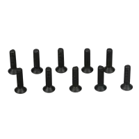 TLR5963 - TLR Flachkopfschrauben_ M3 x 12mm (10)