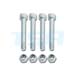 TPA21001XX - Schraube M5x37x8mm - Set